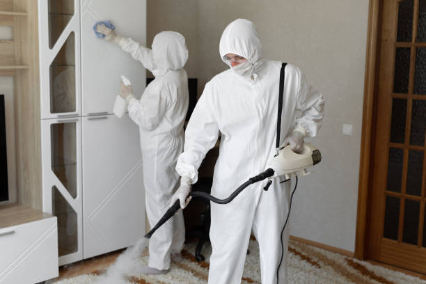 Professional Mold Removal in Cudahy, WI